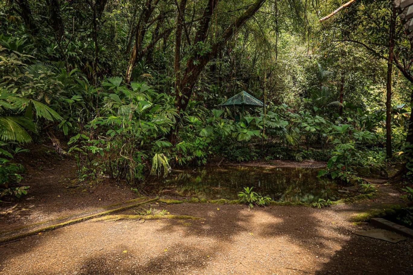 Santa Juana Lodge & Nature Reserve Quepos Exterior foto